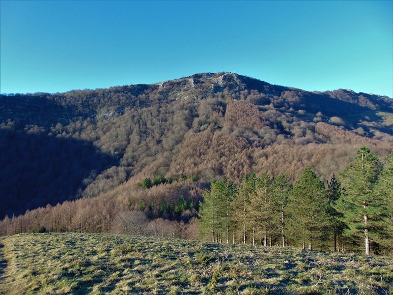 Endaizburu Ingurutik