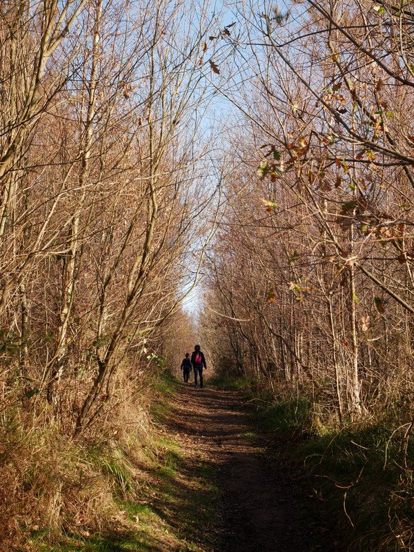 Mendebaldeko bizkarretik Arburura hurbiltzen den bidea