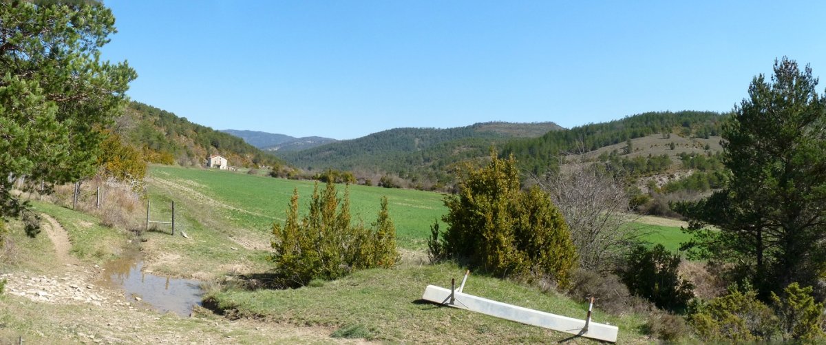 Egurzano etxea eta ibarra