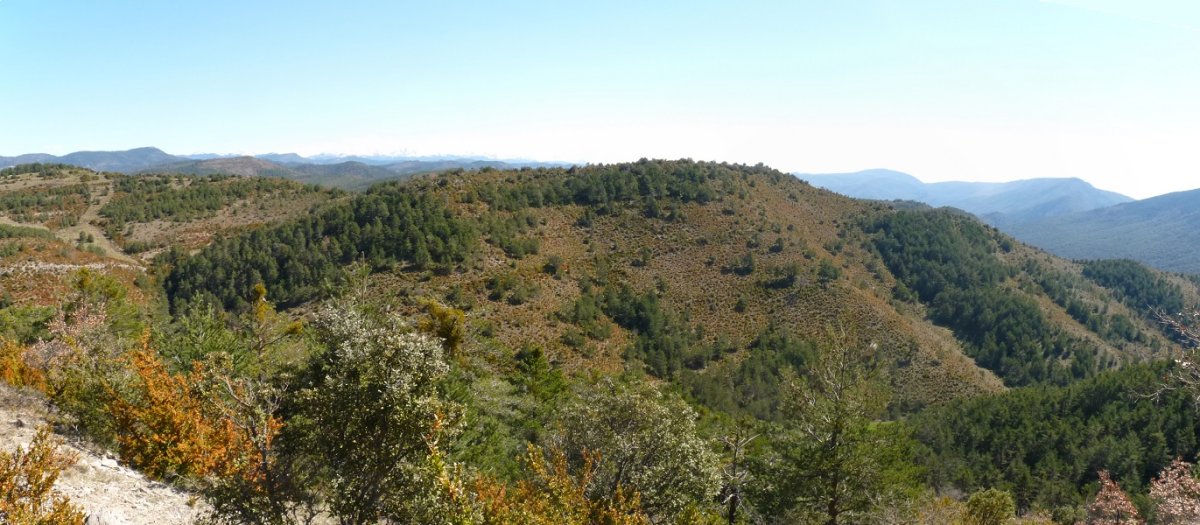 Egurzano mendia Arizandia menditik