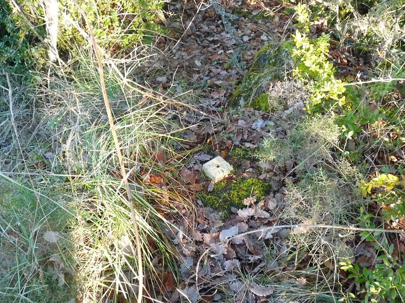 Seinale geodesikoa gailurrean