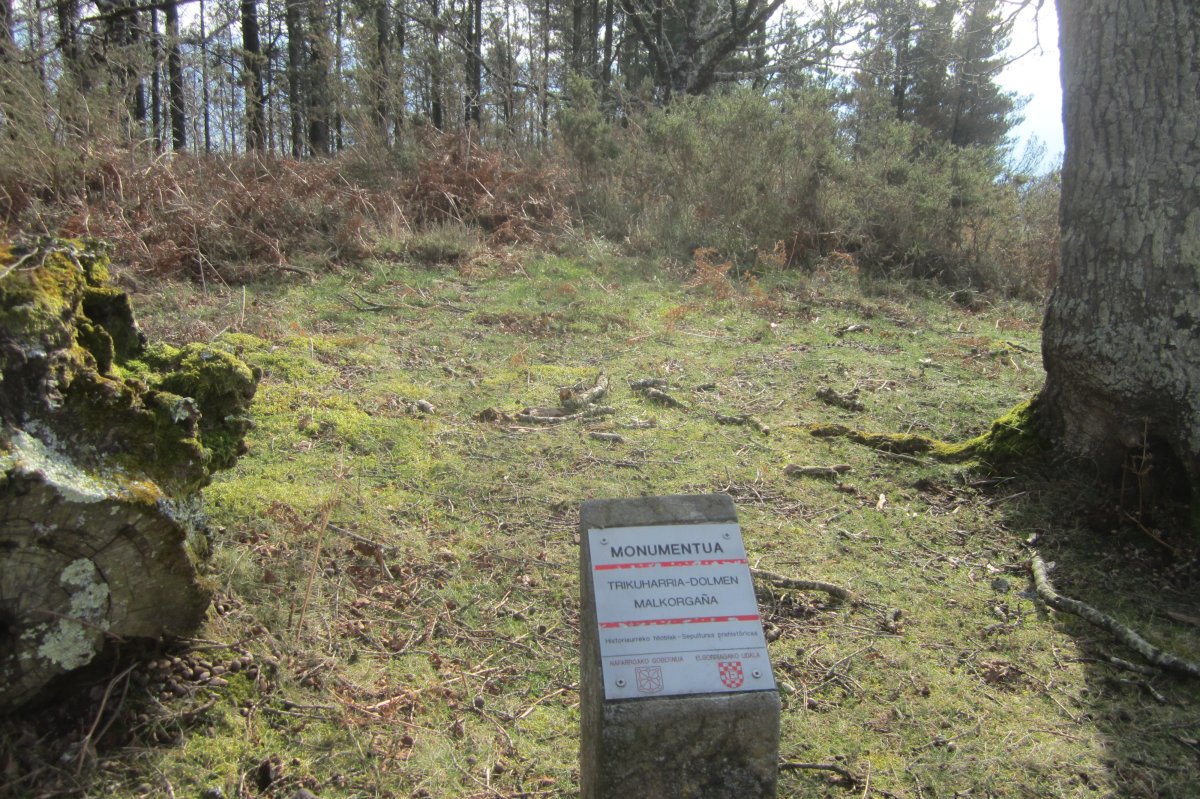 Dólmen Malkorgaña  (Febrero 2019)