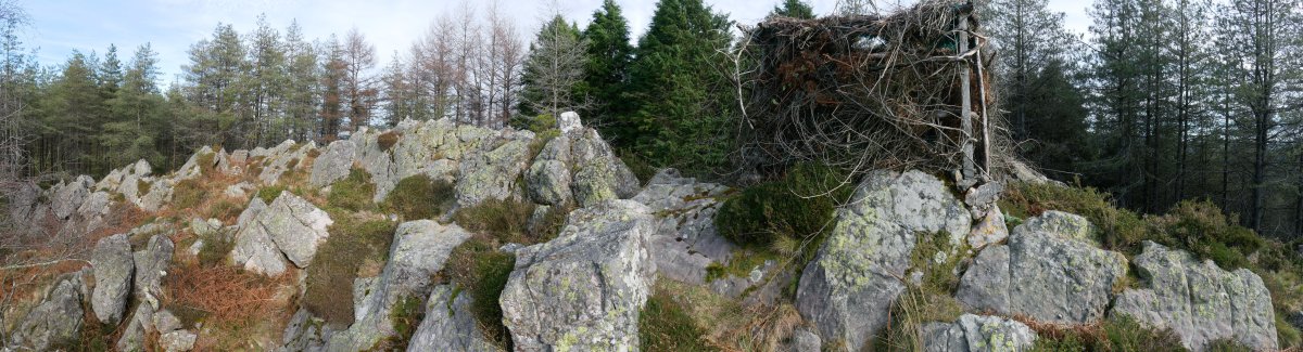 HEko muino harritsua, Arnabar