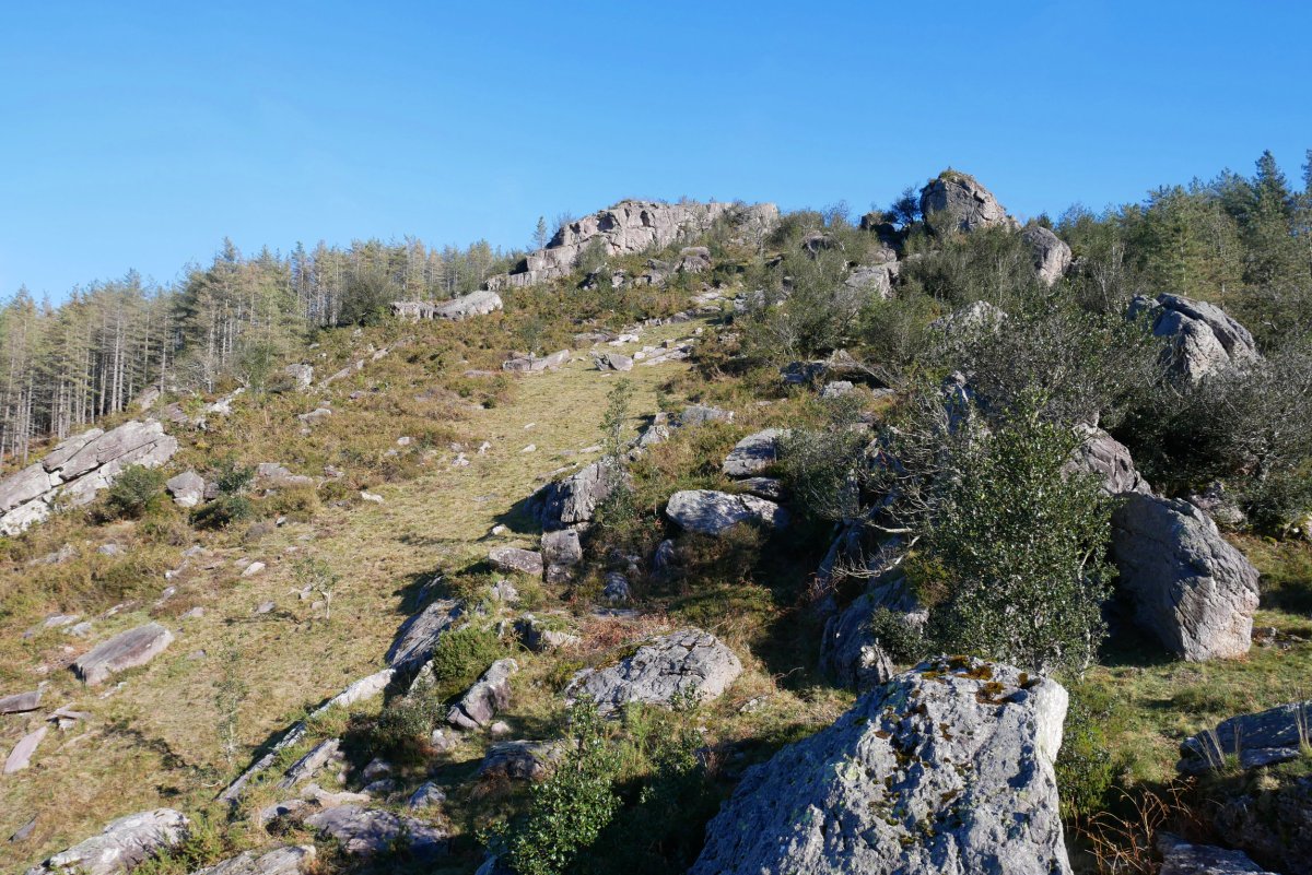 HMko bizkarreko harkaitzak