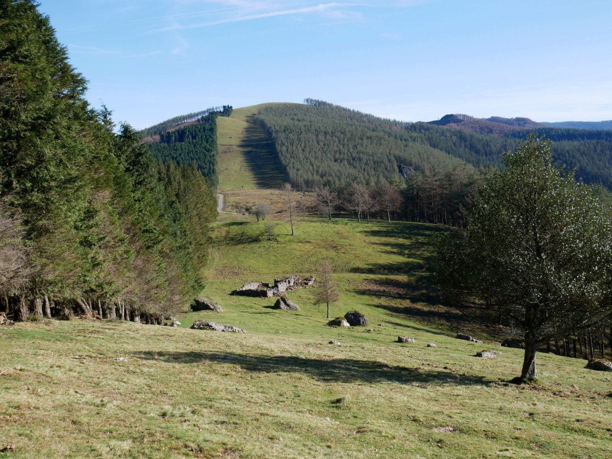 Usabelartza aldeko suebakia