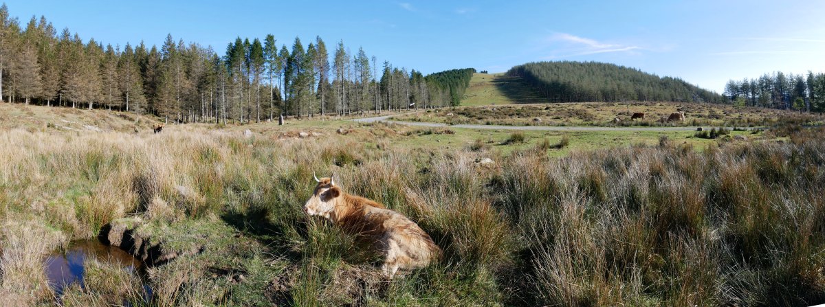 Usobelartzako zohikaztegiaren inguruak