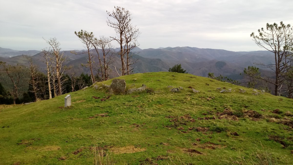 Elurzulo harrespila (2019)