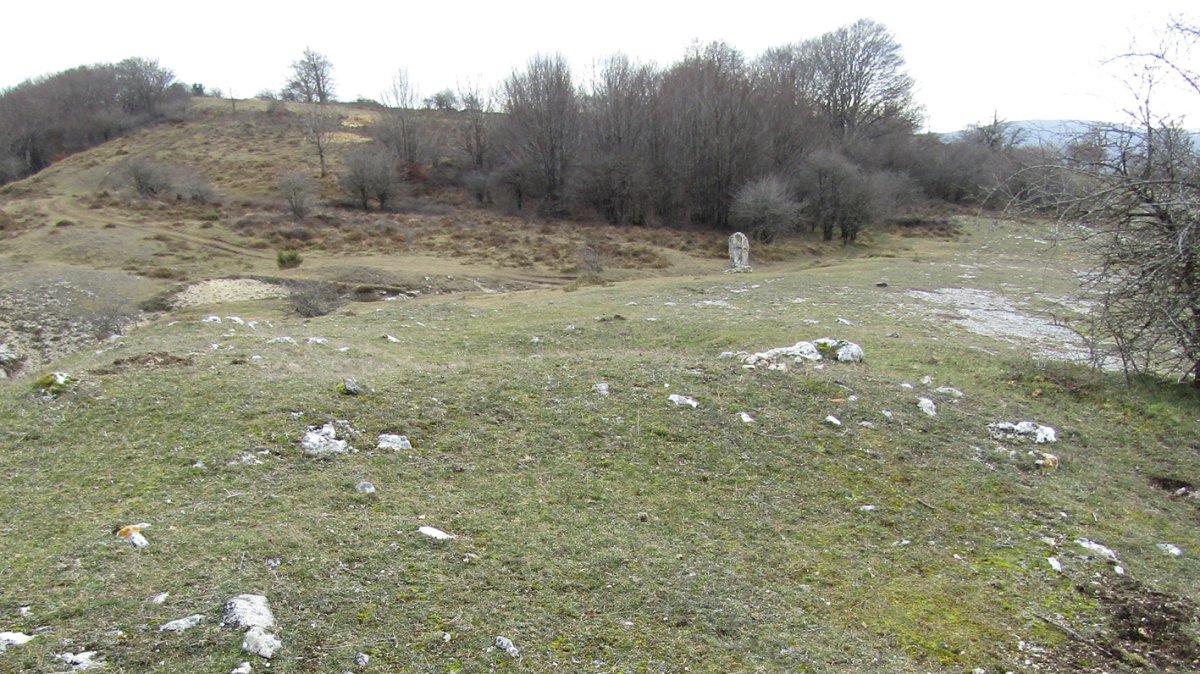 Puerto San Juan tumulua, Arraia-Maeztu