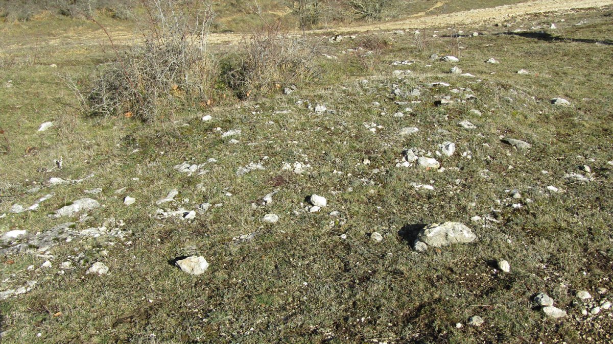 Manzuruturri 1 oeste tumulua, Arraia-Maeztu