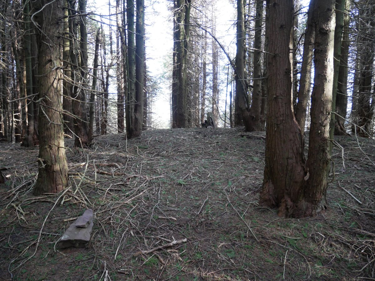 Honek ematen du lekurik garaiena, erpin geodesikoa baino 100 m inguru HErago