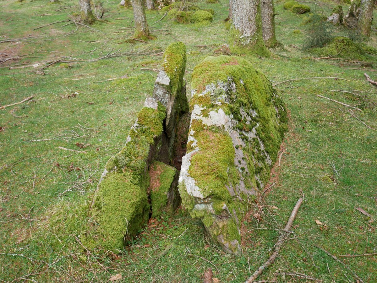 Belabieta Txiki Trikuharria