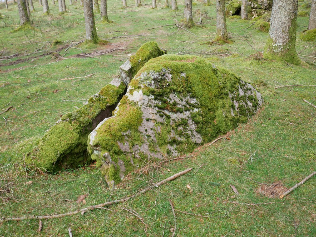 Belabieta Txiki Trikuharria