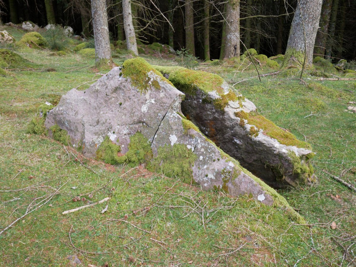 Belabieta Txiki Trikuharria