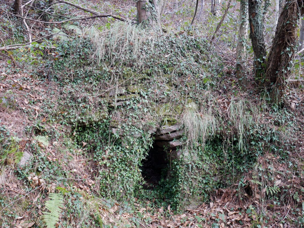 Karobi zaharra bide bazterrean, Elduain