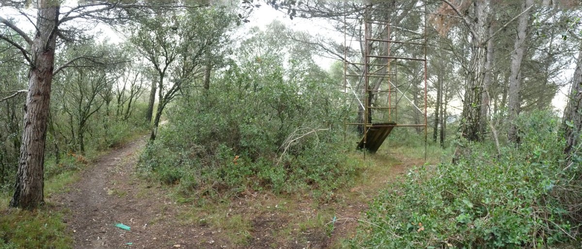 Montarragako gandorreko bidea