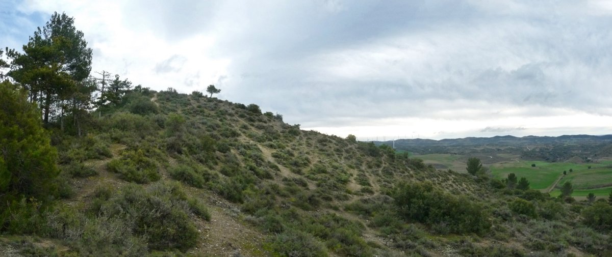 Montarragako gainaldea