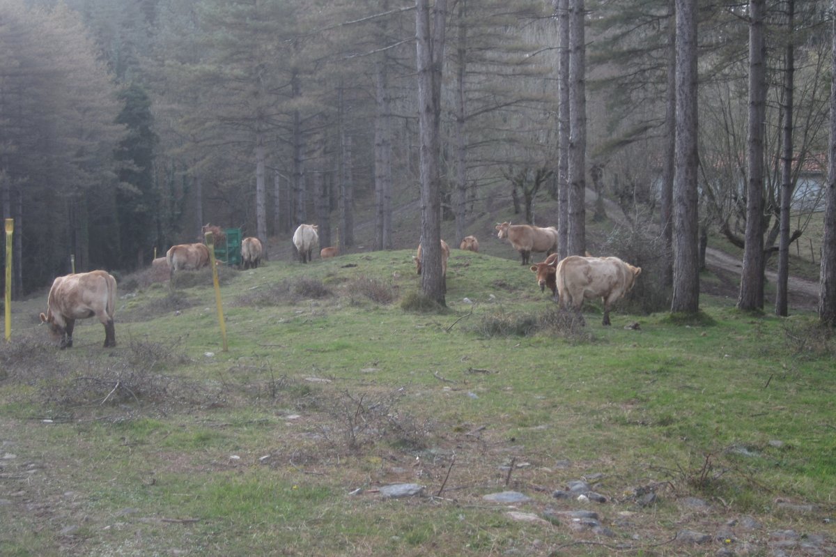 Túmulo Itxupeaka (Enero 2020)