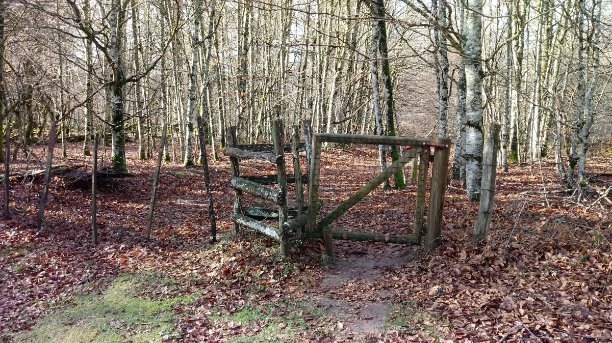 Araba eta Nafarroa arteko langa