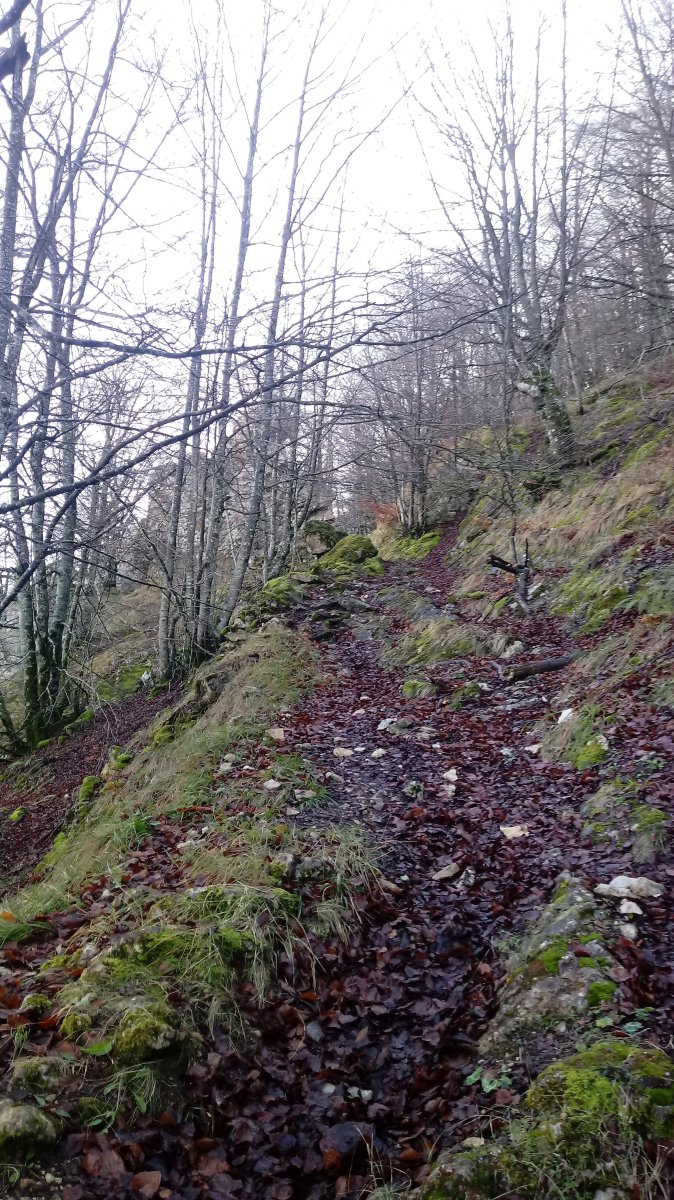 Ziordiatiko bidezidorra