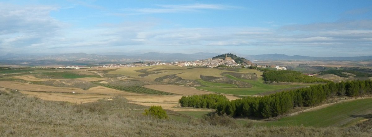 Larraga, Vaquerizatik