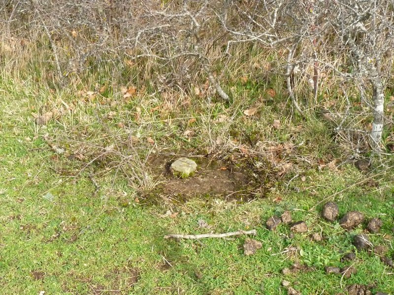 Tako geodesikoa gailurrean 