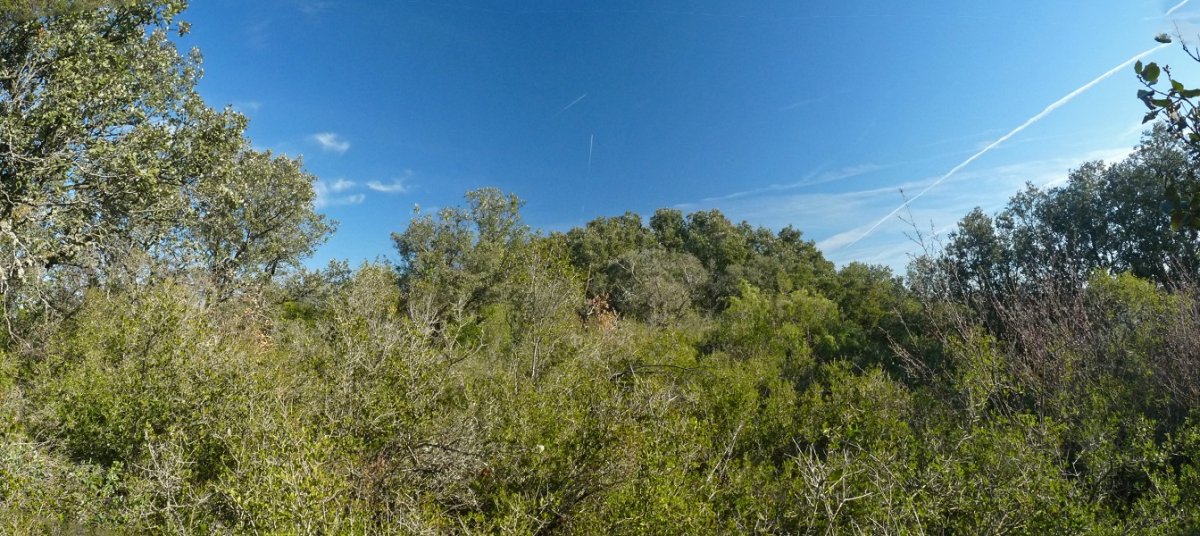 Zorrera gaineko gailur itxia