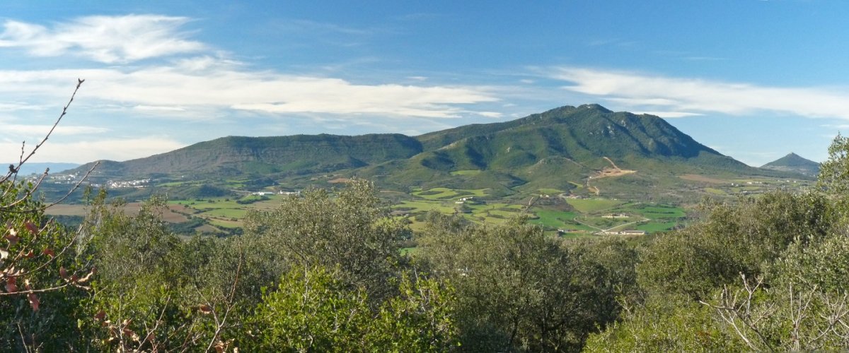 Jurramendi Muskiditik