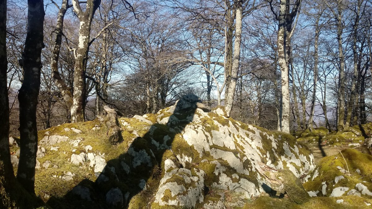 Pagoaundi (1029m) tontorra