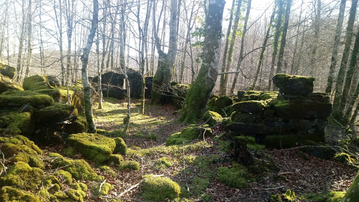 Borda hondakinak Argibel azpian