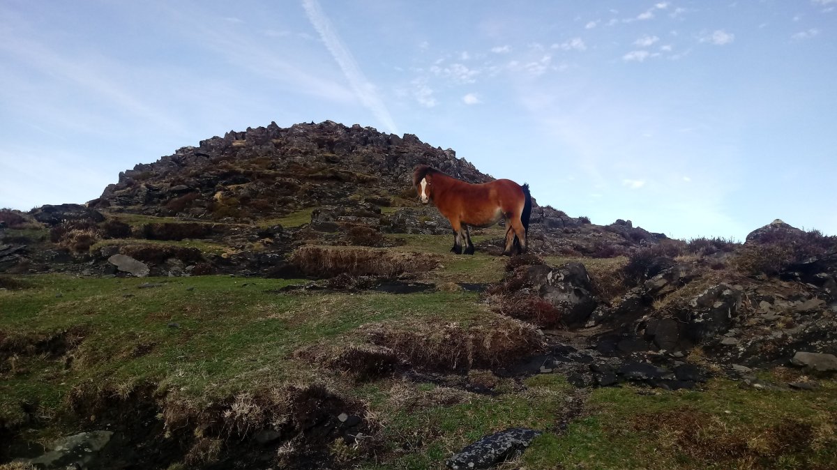 Bonozorrotz (1022m) tontorraldea
