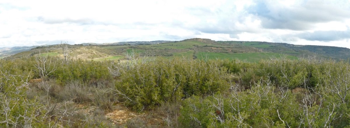 Matute gaineko gailurra