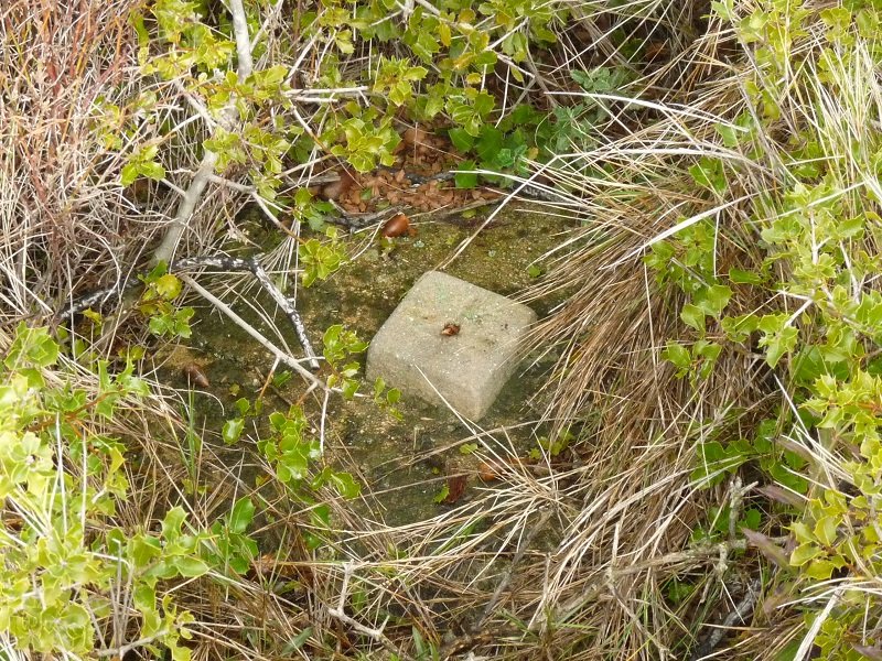 Tako geodesikoa Matute gainean