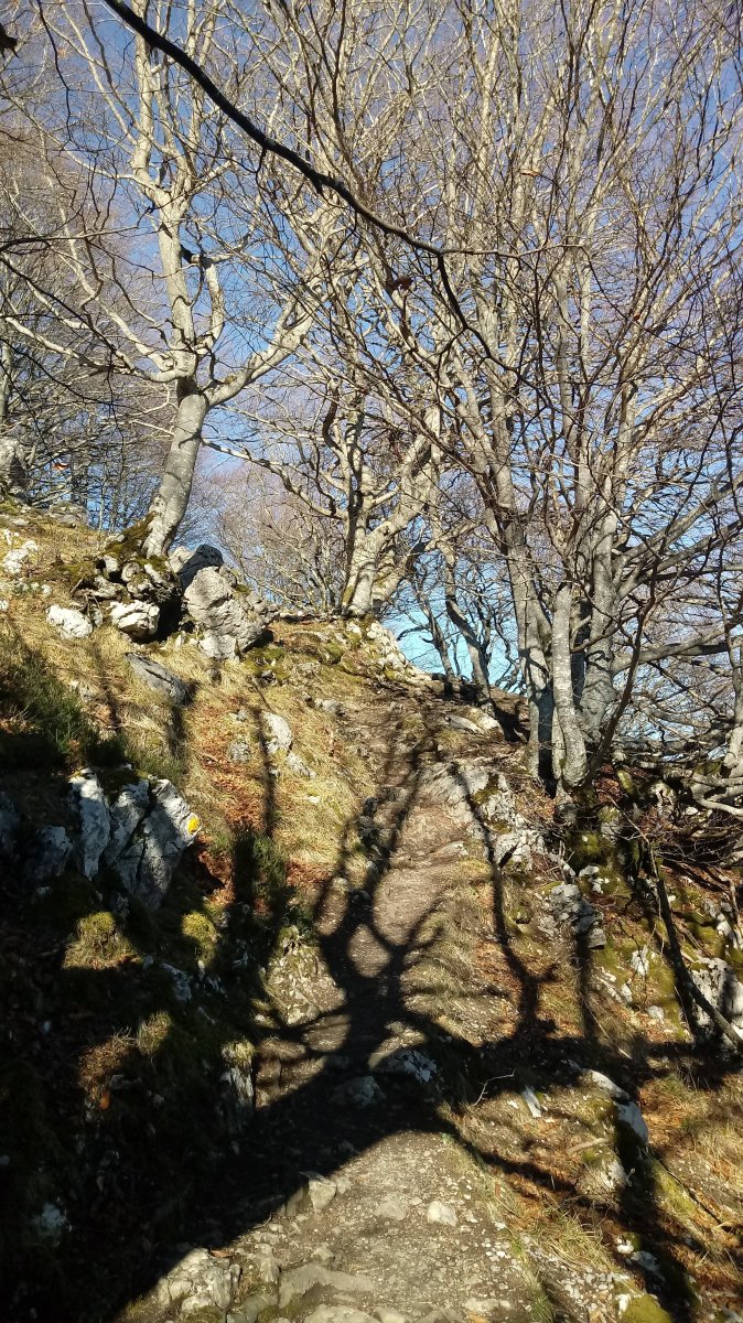 Sancti Spirituko igoera 1