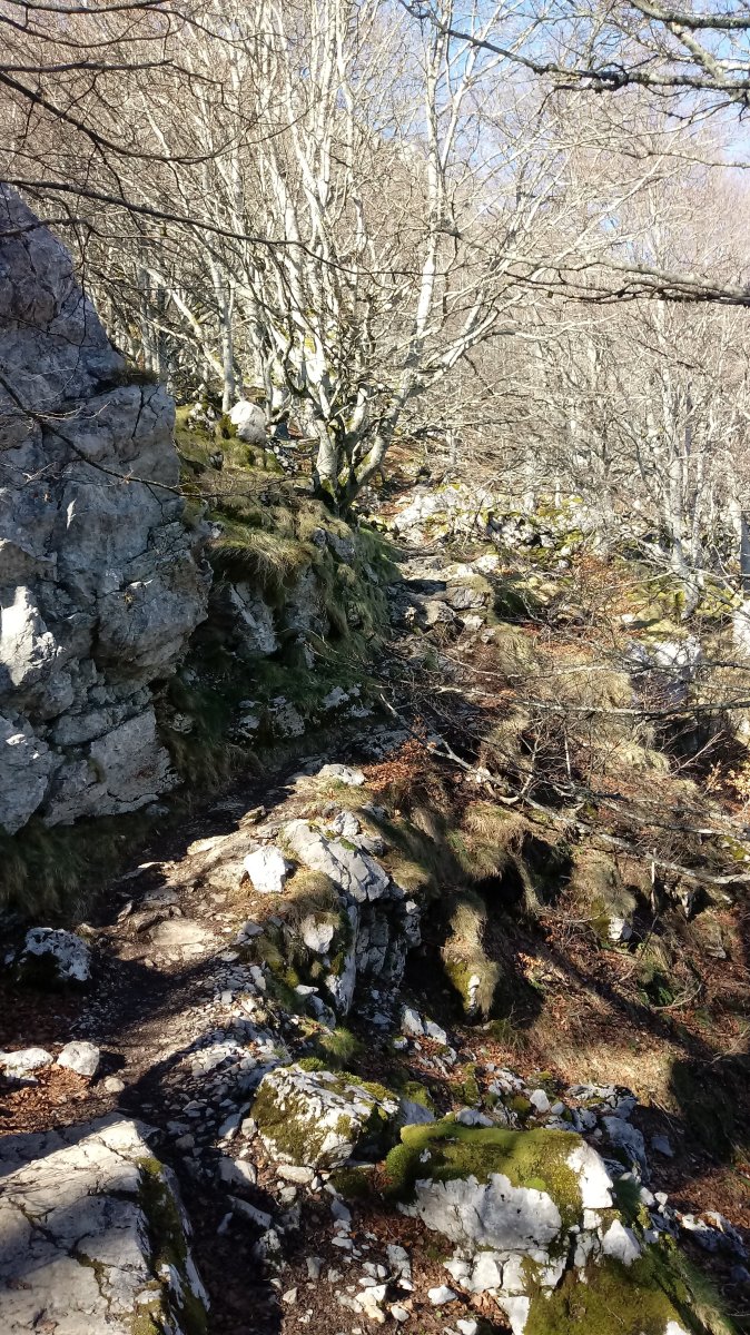 Sancti Spirituko igoera 2