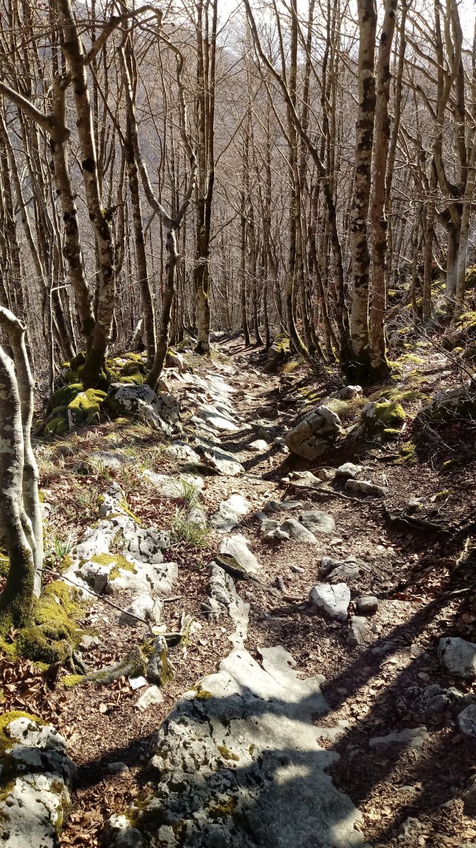 Sandratirako jeitsiera ekialdeko sendatik