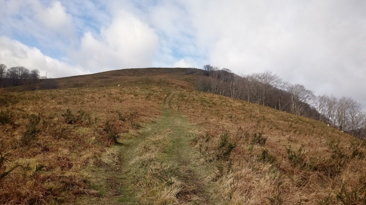 Lizartzeta (849m) igoera Arriaundi aldetik