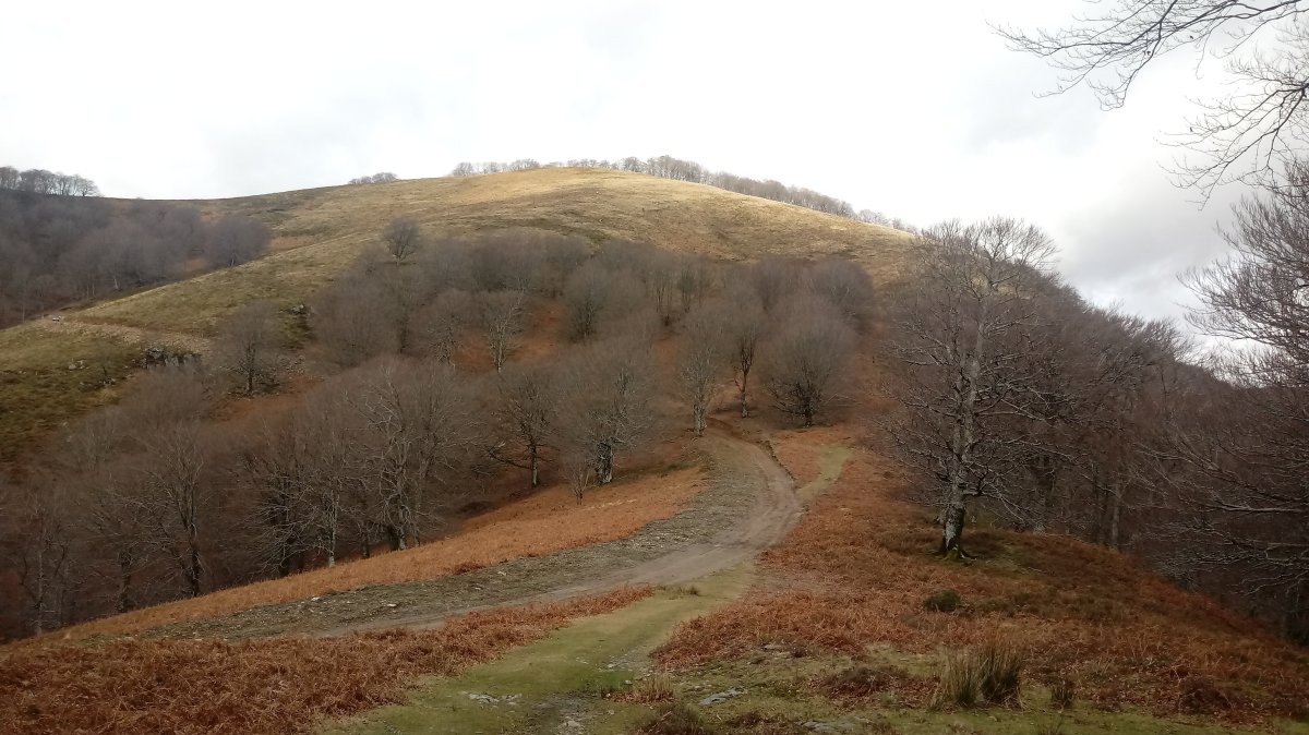 Iramendi (1015m) Aurkidiko lepotik