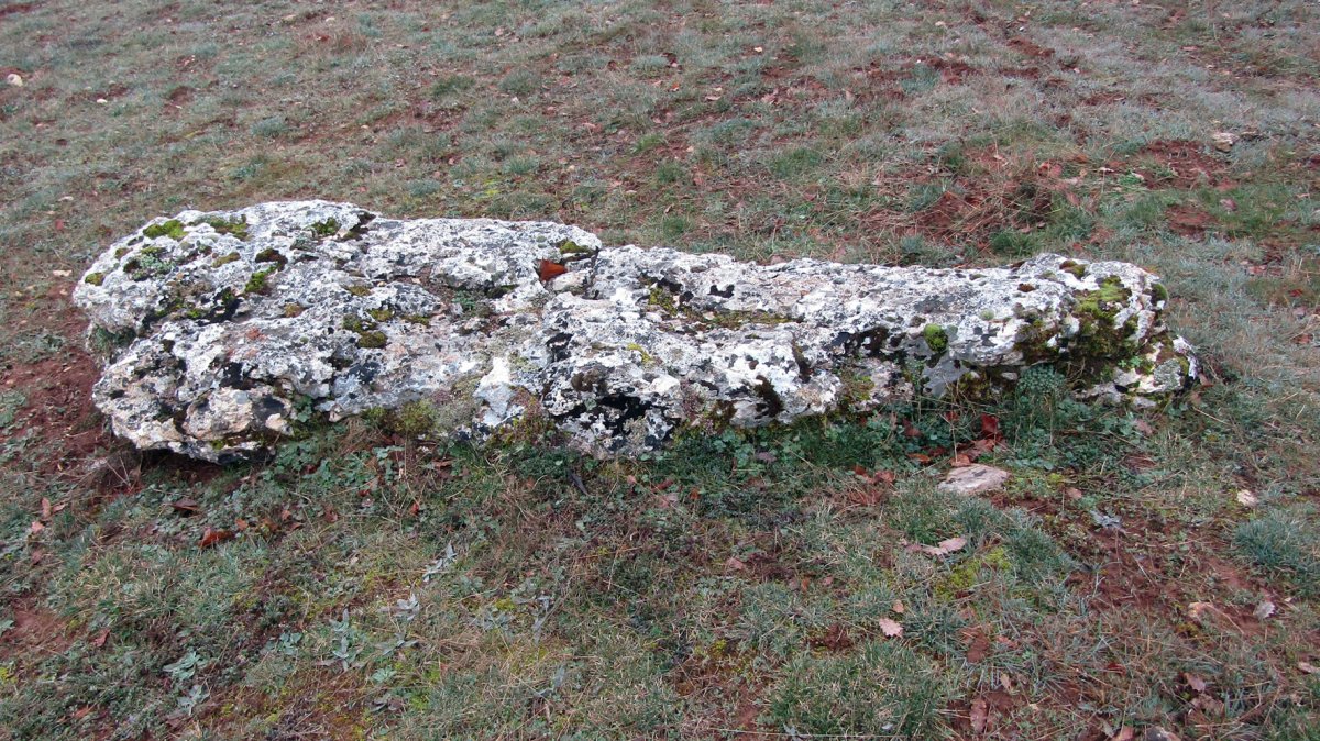 El Pelado de Aletxa zutarria, Arraia-Maeztu