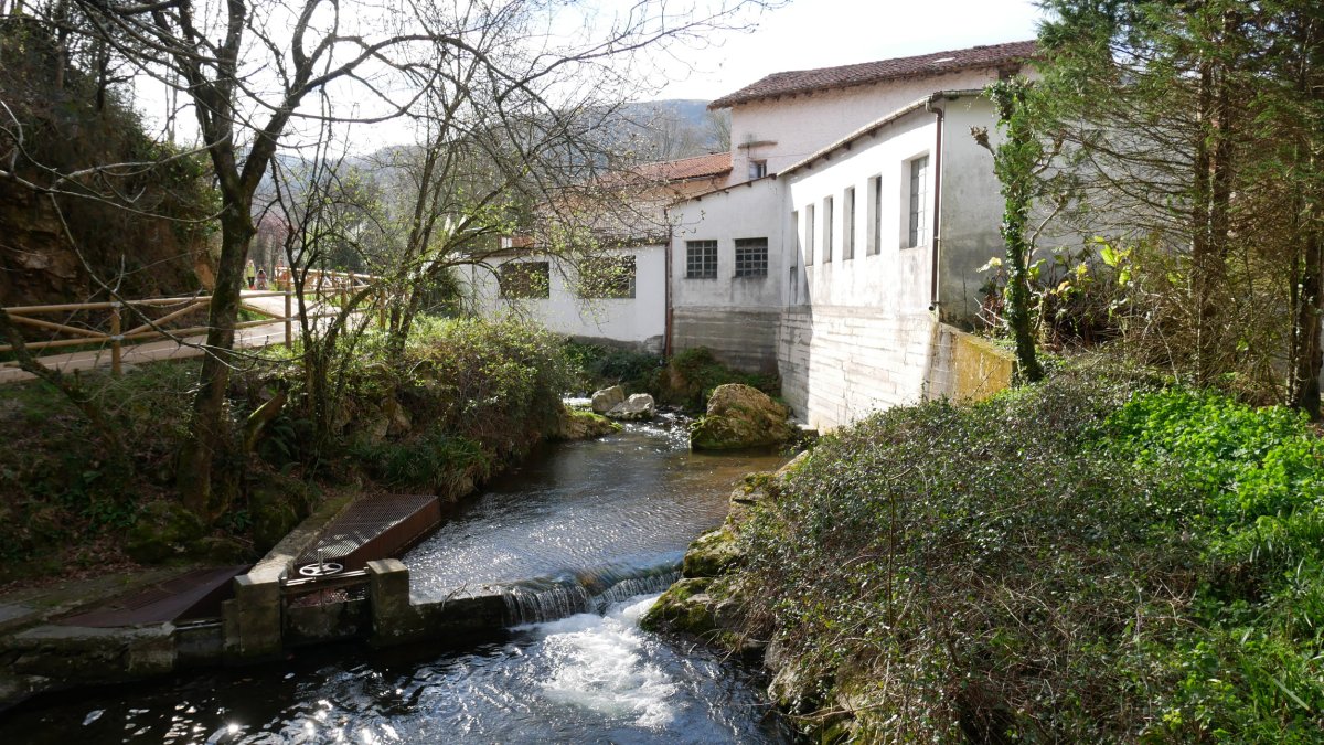 Bidasoro errota, Karrika