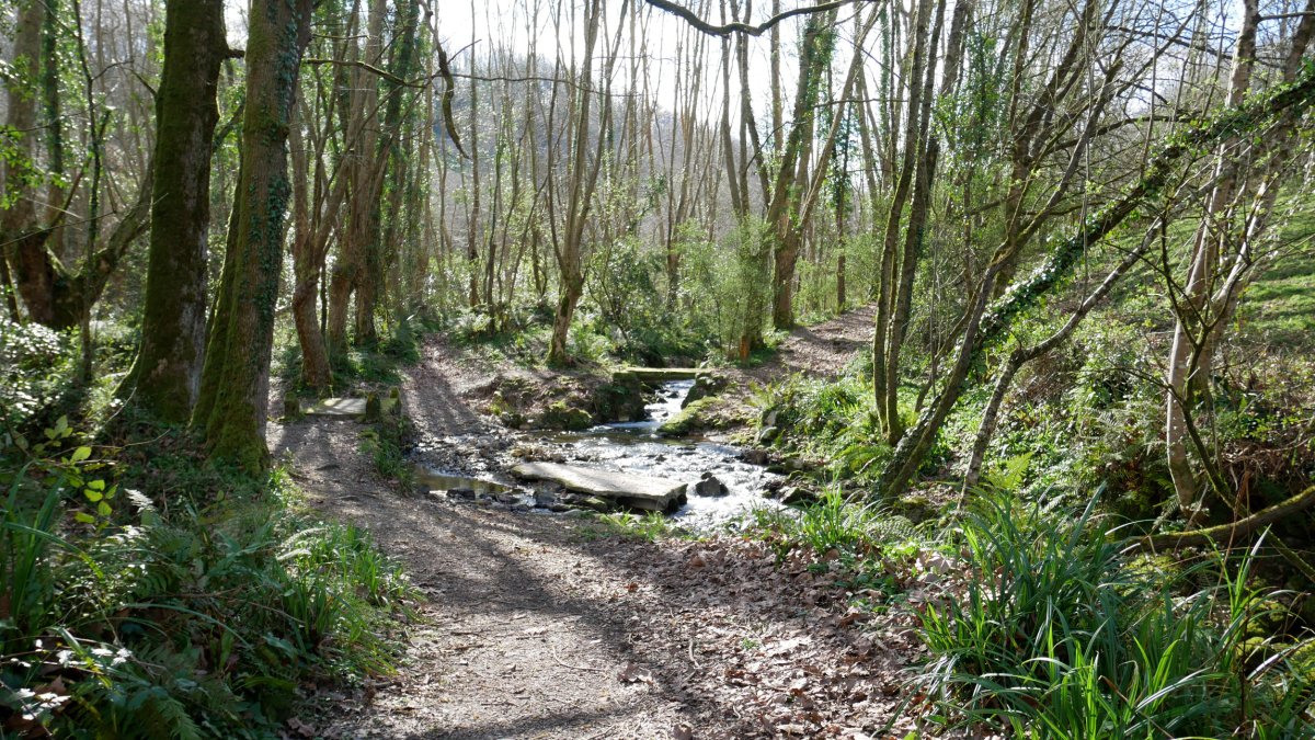 Txalaka errota, Iturriotz