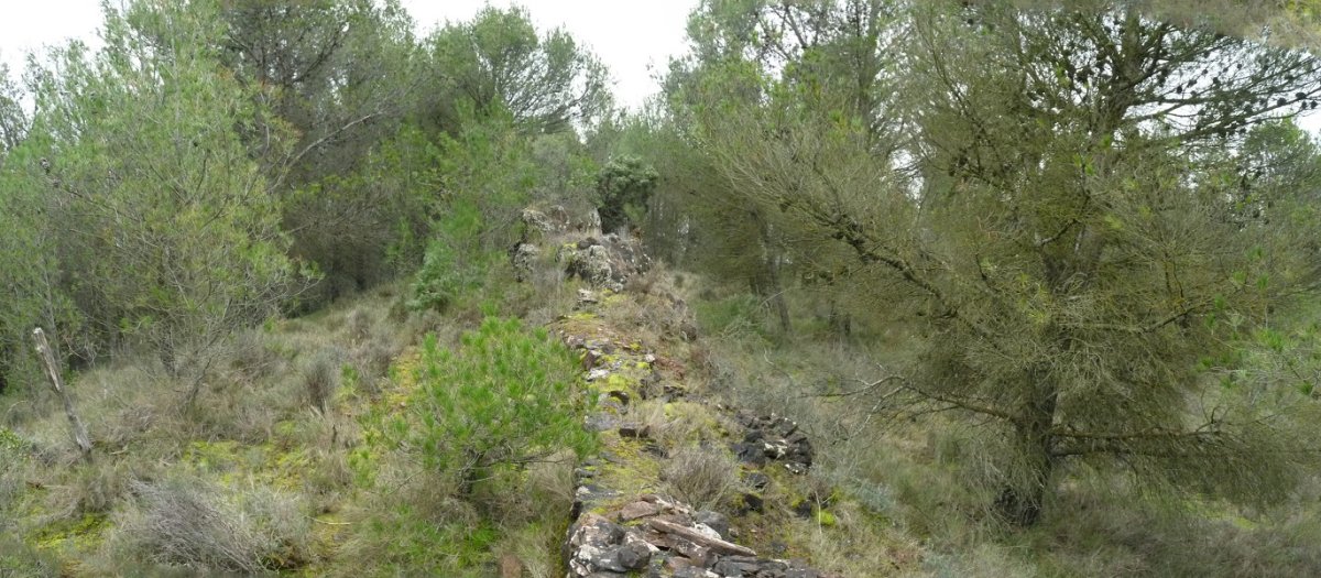 Murrua Geremendiko gandorrean