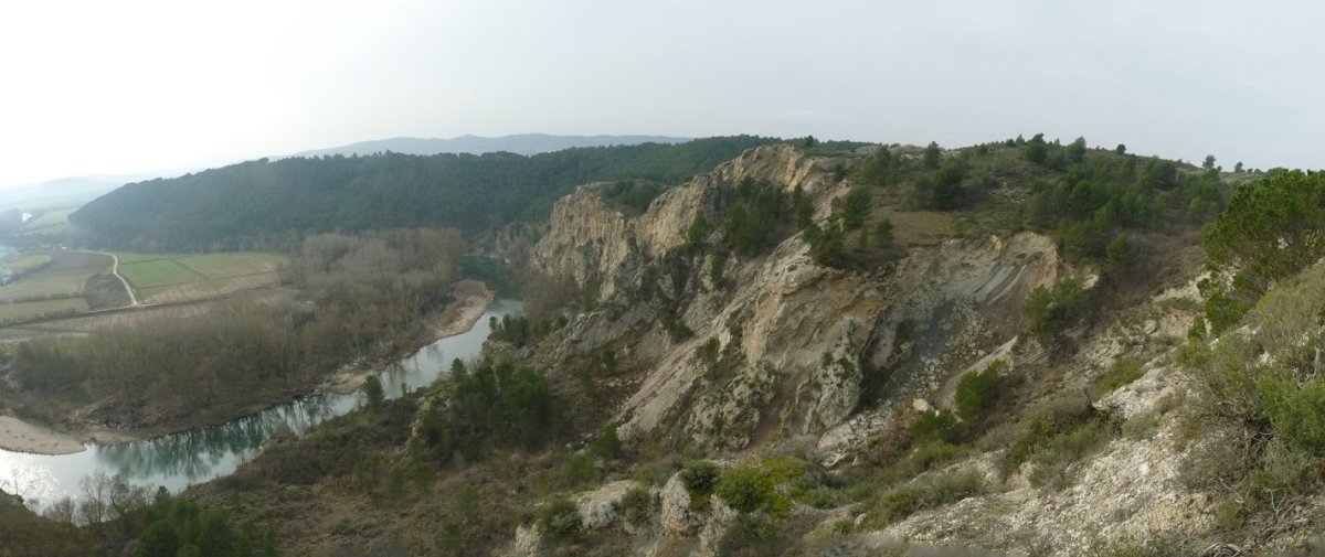 Arga gaineko malkarrak