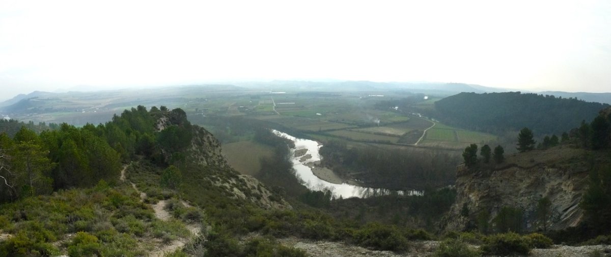 Arga gaineko malkarrak