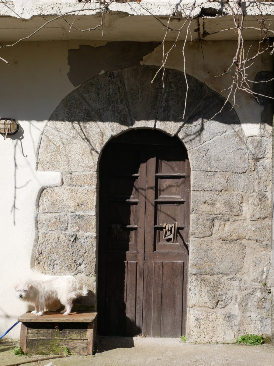 Albistegi etxea, Asteasu