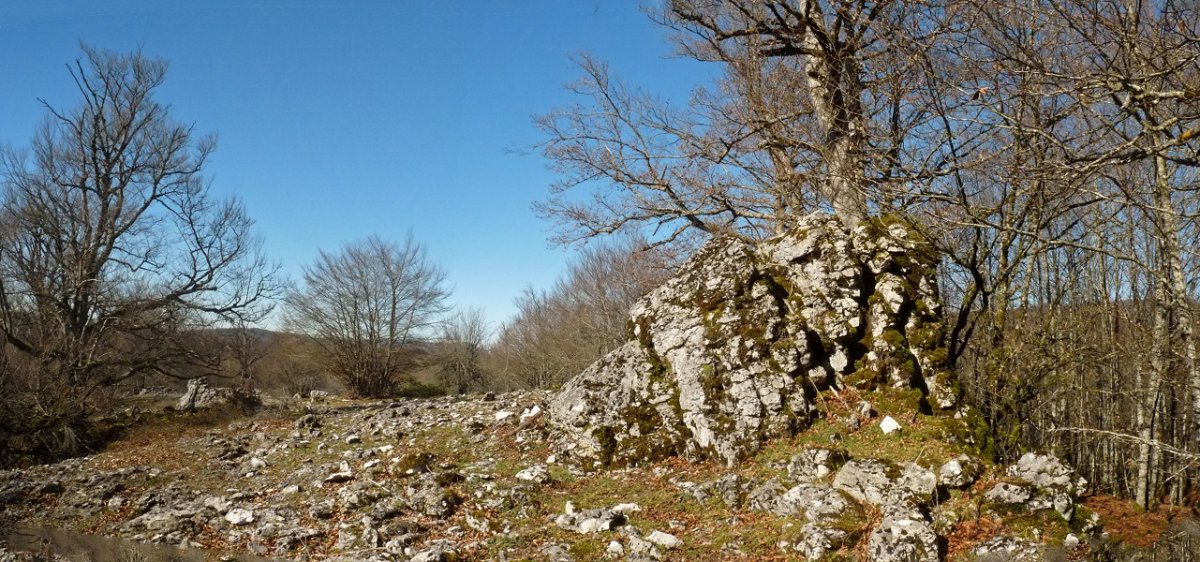 Tximistako gainaldeko harkaitzak