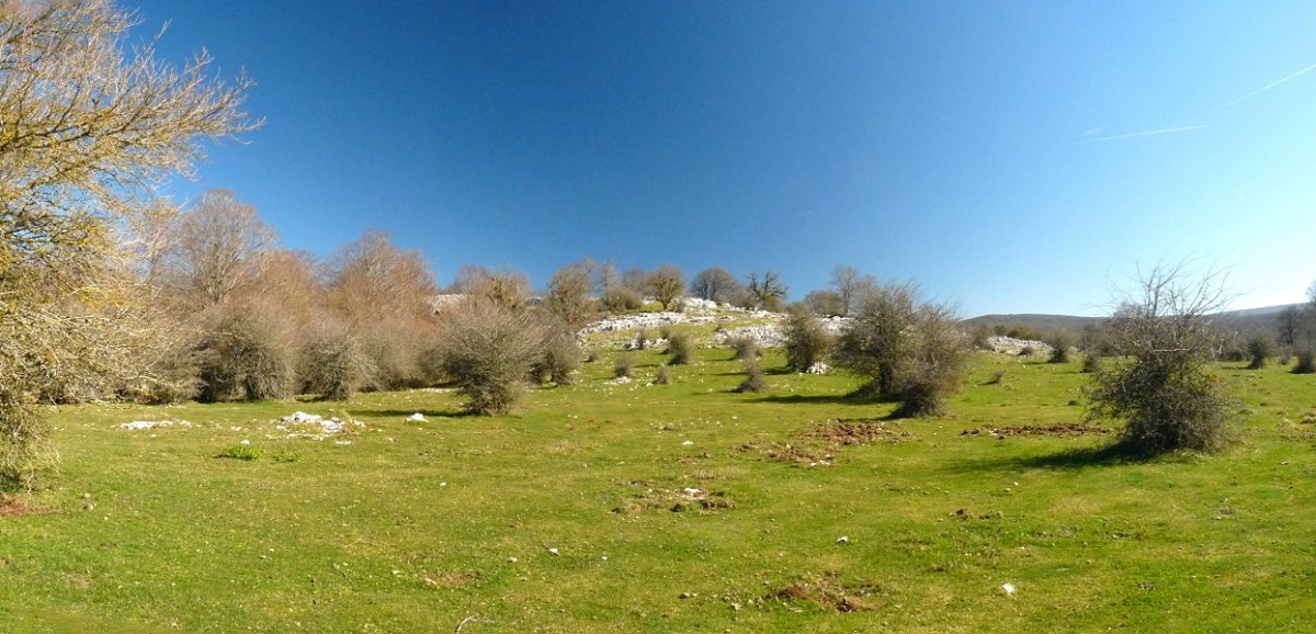 Txontorra,larreetatik ikusita