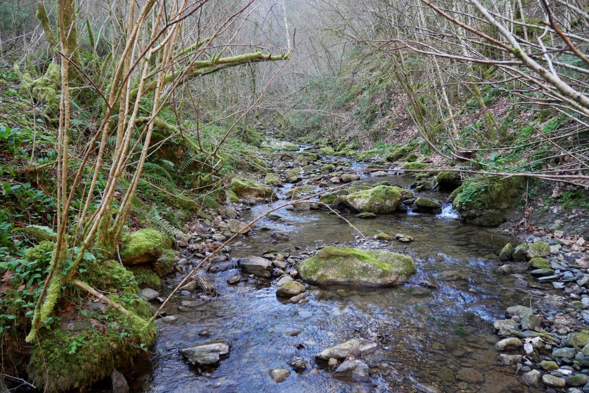 Erreka Olazar parean, Larraul