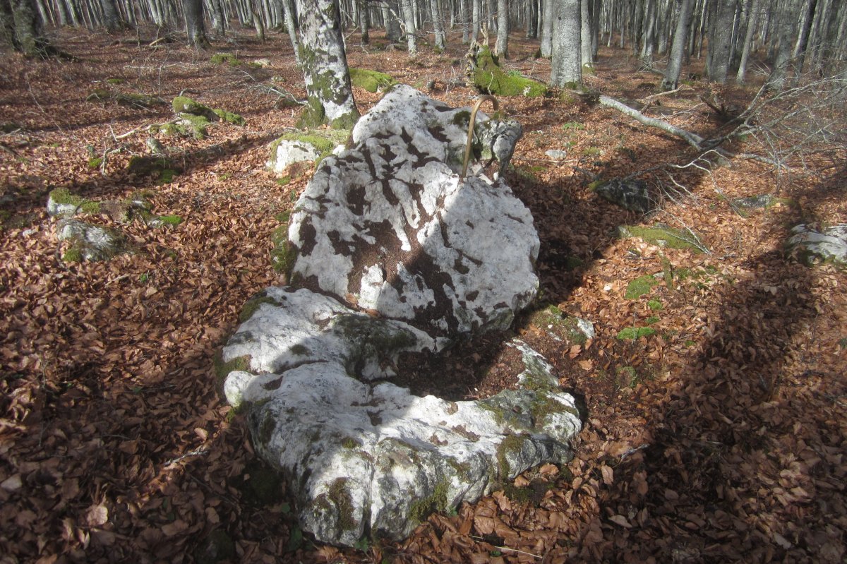 Monolito Intxartea (Febrero 2020)