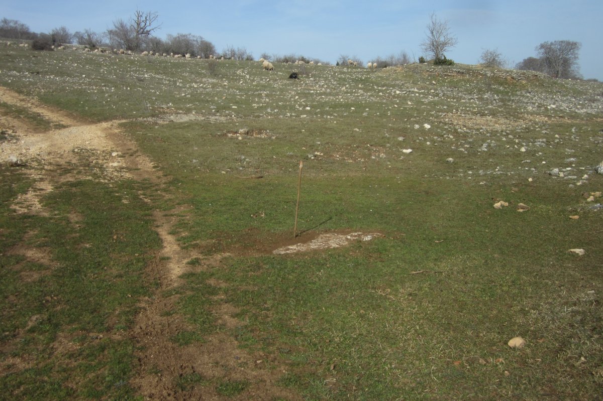 Monolito Lazeta (Febrero 2020)