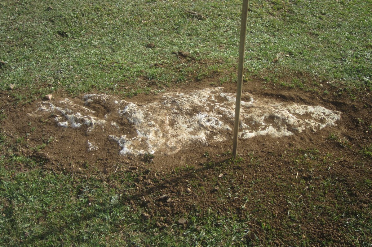 Monolito Lazeta  (Febrero 2020)